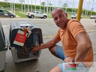 ��������� �������� � ������� � ������ �����