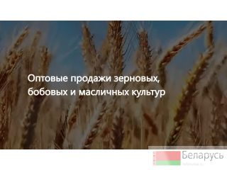 ��� �������� - ������� ���������� ��������� ������� ������� �����