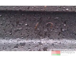 ������ �43 12.5�  ���� 7173-54 ���������� � �������� ������ �����������������