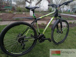 ��������� ������ Bergstegies Rex �����