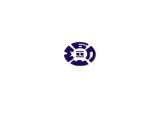     Ϋ-2