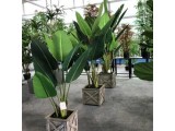         Sharetrade Co., Ltd