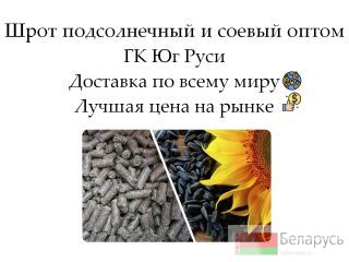 ���� ������������ � ������ ����� �� ������������� �� �� ���� �����